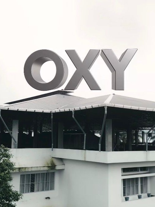 OXY India Master craftsman reviewing building and roofing solution designs